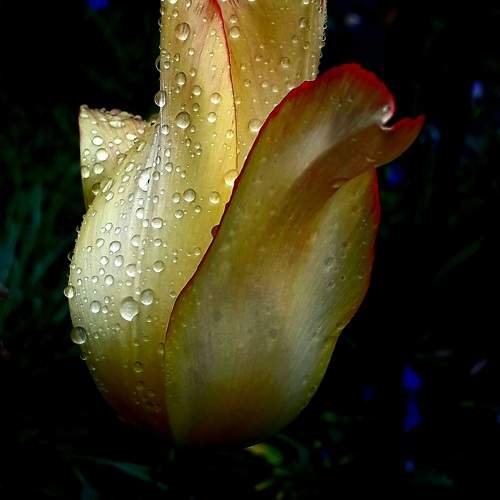 Photo #11133245