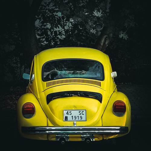 Photo #11133330