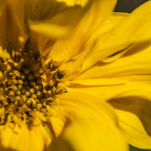Photo #11133604