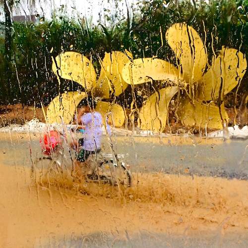 Photo #11133708