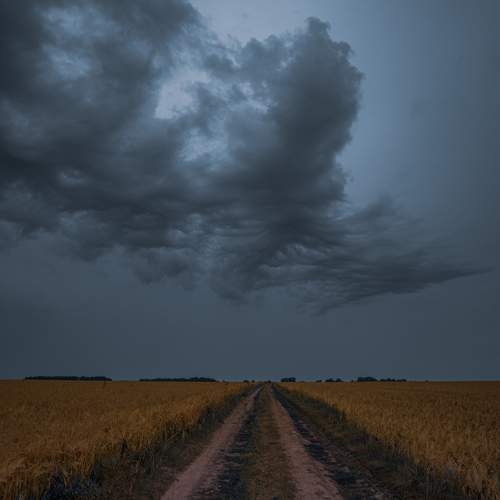 Photo #11133741