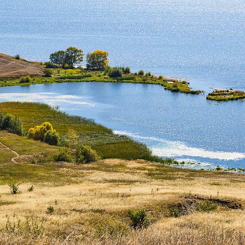 Photo #11134011