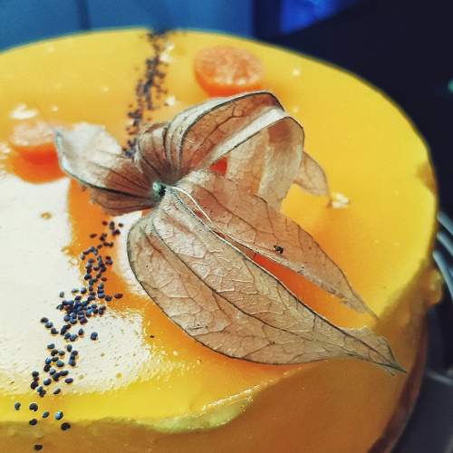 Photo #11134044