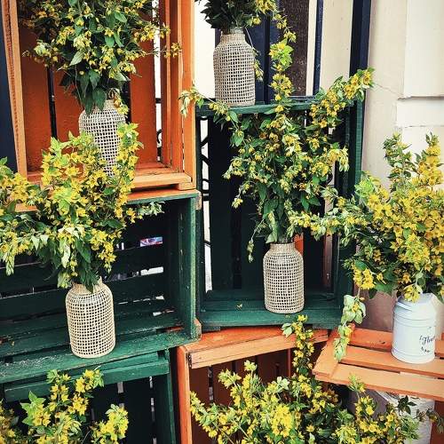 Photo #11134059