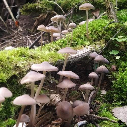 Photo #11134480