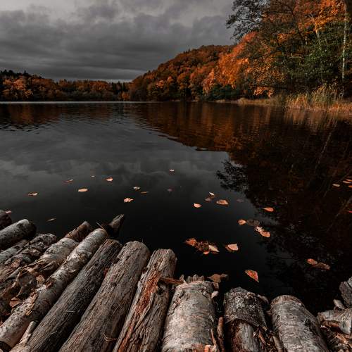 Крестоножка