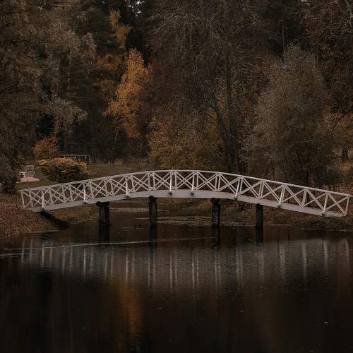 Photo #11134714