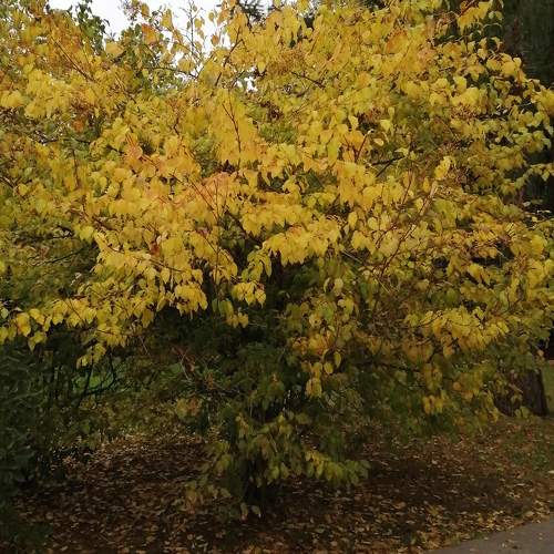 Photo #11134780