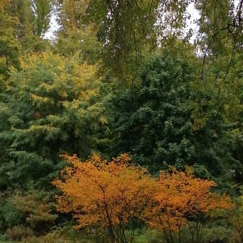 Photo #11134783