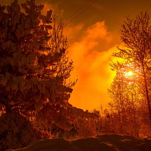 Photo #11134866