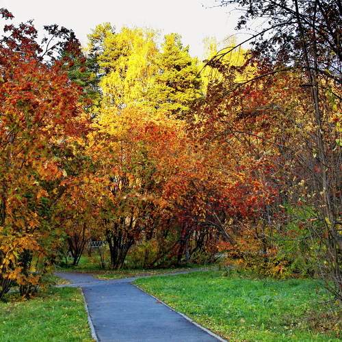 Photo #11135079