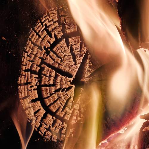 Photo #11135204
