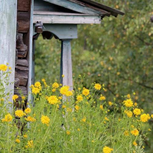 Photo #11135299