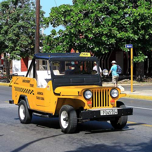 Photo #11135726