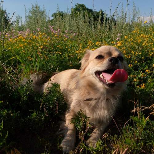Photo #11135729