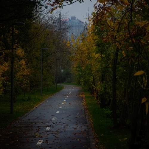 Photo #11135817