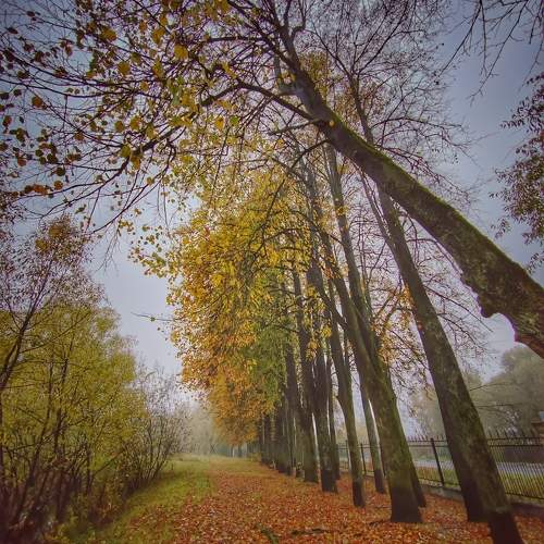 Photo #11136095