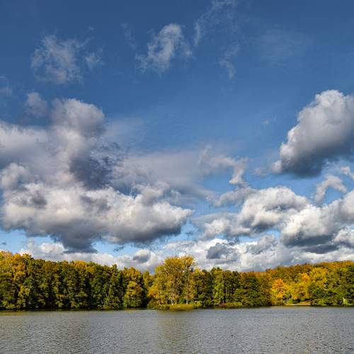 Photo #11136120