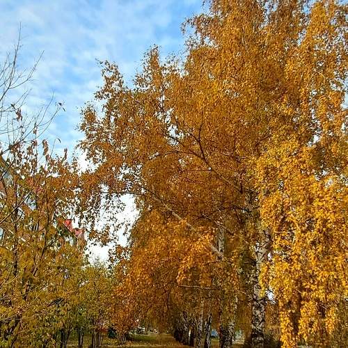 Photo #11136412