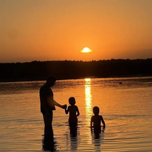 Photo #11136446