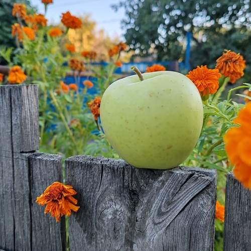 Photo #11136838