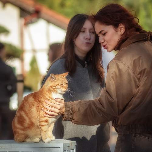 Photo #11136980