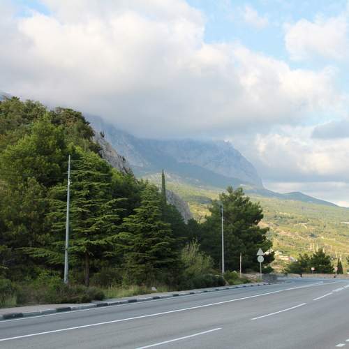 Photo #11137042
