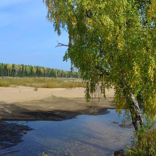 Photo #11137143