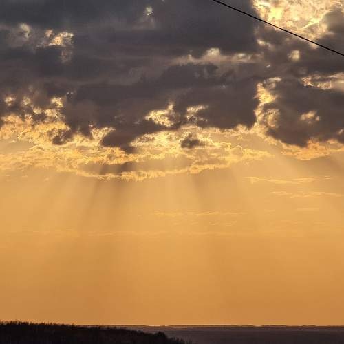 Photo #11137266