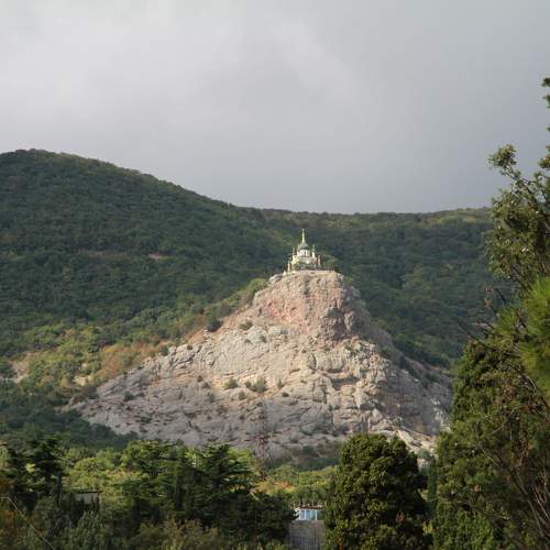 Photo #11137832