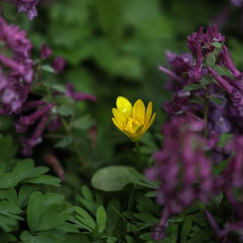 Photo #11137875