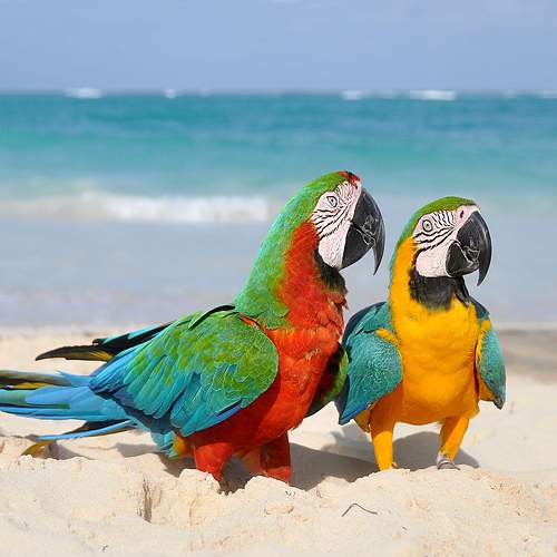 Photo #11137914