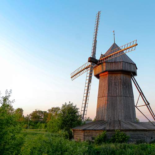 Photo #11138089