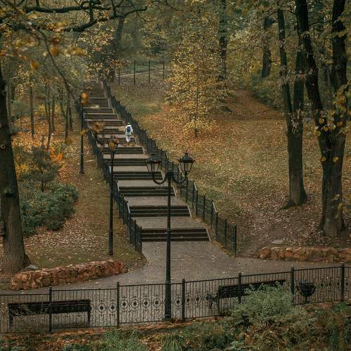 Photo #11138209