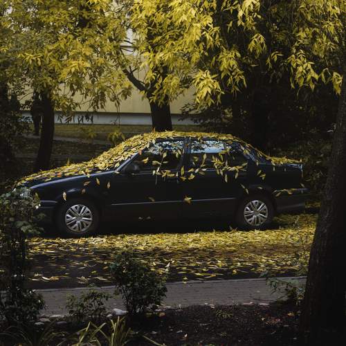 Photo #11138395