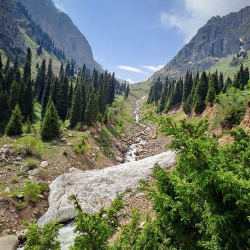 Photo #11138823
