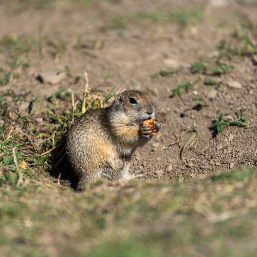 Photo #11138869