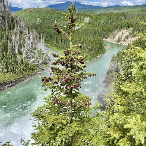 Photo #11138874