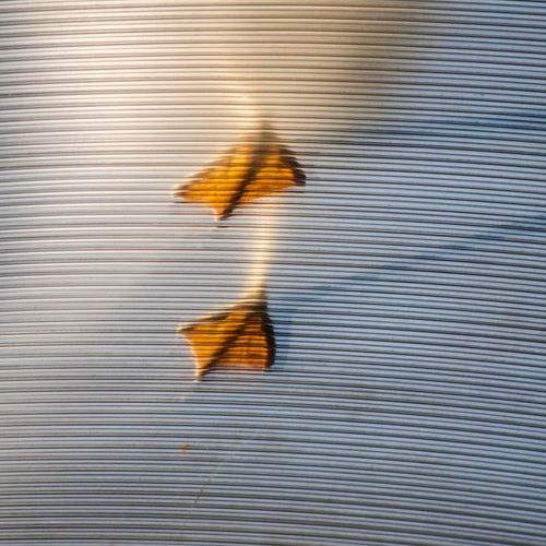 Photo #11139058