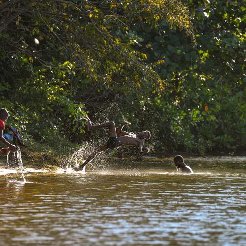 Photo #11139111