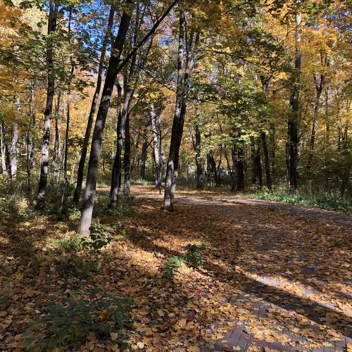 Photo #11139365