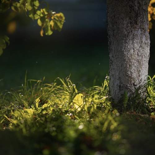 Photo #11139373