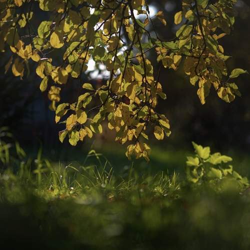 Фотография #11139374