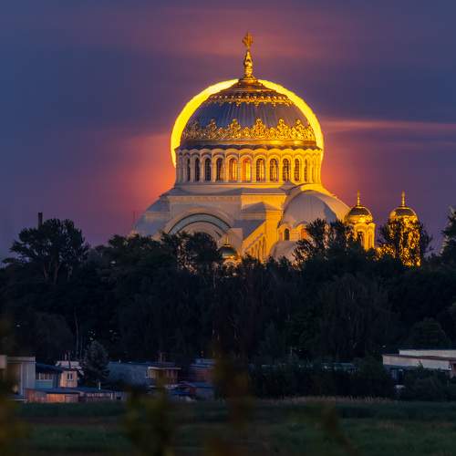Фотография #11139614