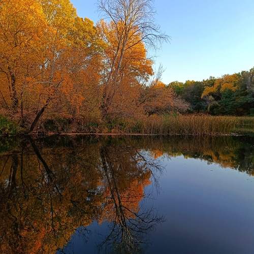 Photo #11139877