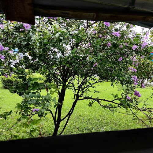 Photo #11139991
