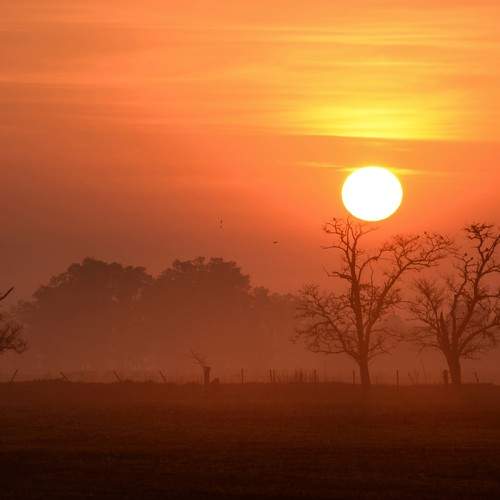 Photo #11140035