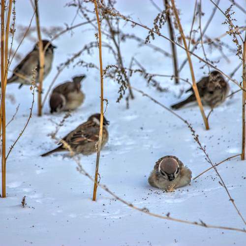 Photo #11140242