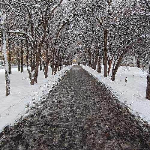 Photo #11140259