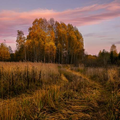 Photo #11140376